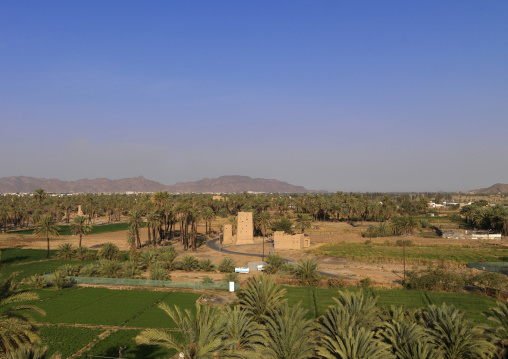 Farm in the oasis, Najran Province, Najran, Saudi Arabia