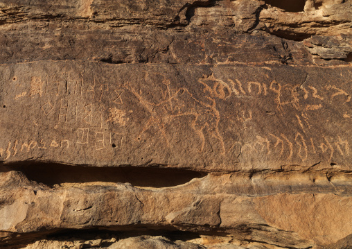 Petroglyphs rock art depicting a man riding a camel, Al Madinah Province, Alula, Saudi Arabia