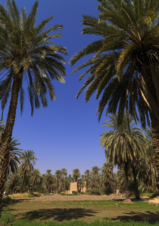 Traditional old multi-storey mud house, Najran Province, Najran, Saudi Arabia
