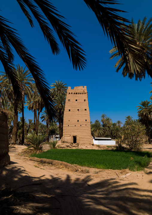 Traditional mud-bricks houses in an oasis, Najran Province, Najran, Saudi Arabia