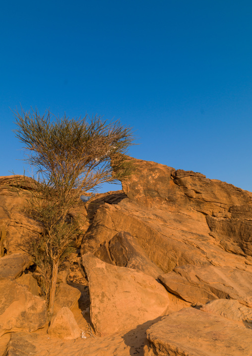 Petroglyphs site, Najran Province, Najran, Saudi Arabia
