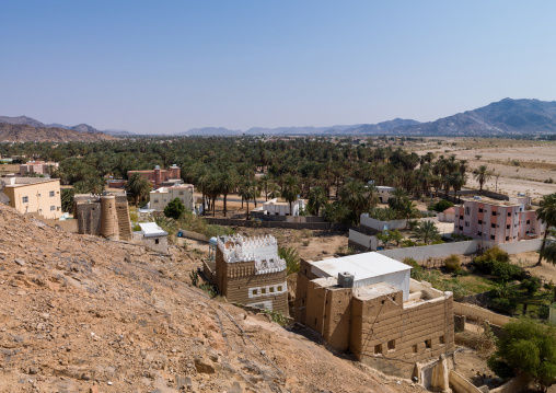 Traditional mud-bricks houses in an oasis, Najran Province, Najran, Saudi Arabia