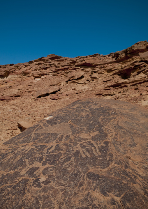 Petroglyphs rock art depicting camels, Al-Jawf Province, Sakaka, Saudi Arabia