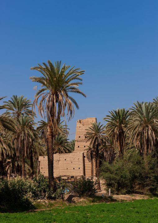 Traditional mud-bricks house, Najran Province, Najran, Saudi Arabia