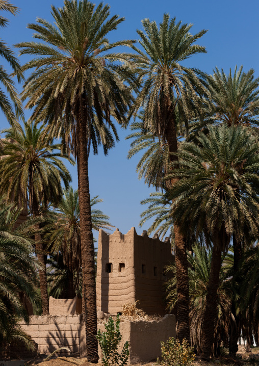 Traditional mud-bricks house, Najran Province, Najran, Saudi Arabia