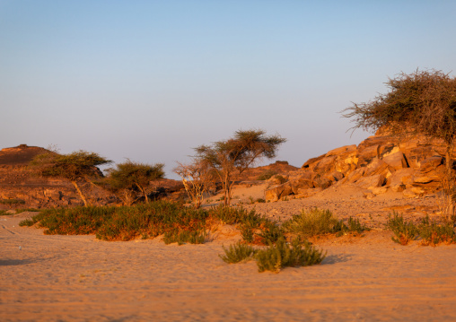 Petroglyphs site in abar himma, Najran Province, Najran, Saudi Arabia