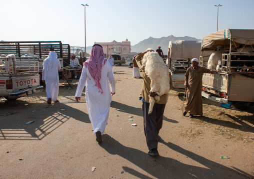 Man carrying a sheep on his back in a market, Najran Province, Najran, Saudi Arabia