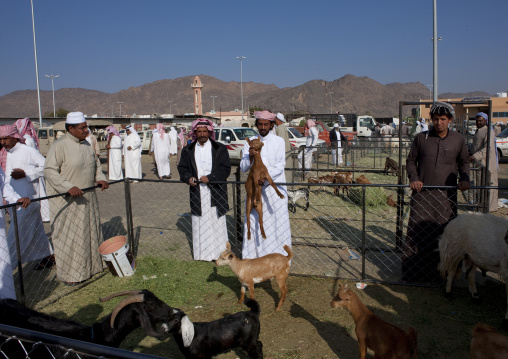 Animal market, Najran Province, Najran, Saudi Arabia