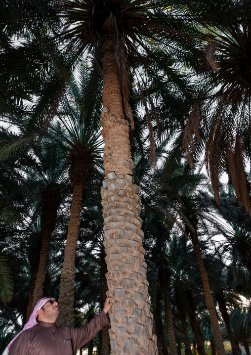 Saudi man in front of a palm tree, Al-Jawf Province, Sakaka, Saudi Arabia