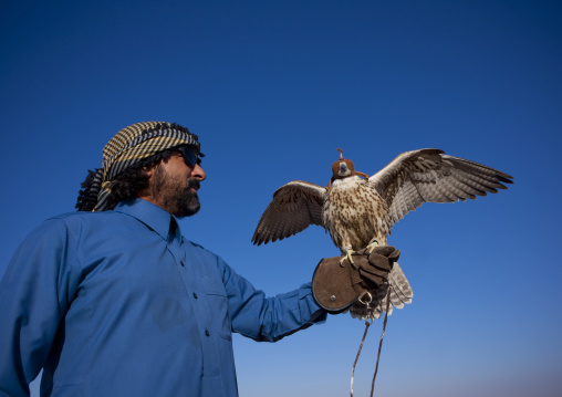 Falconry in the desert, Al-Jawf Province, Sakaka, Saudi Arabia