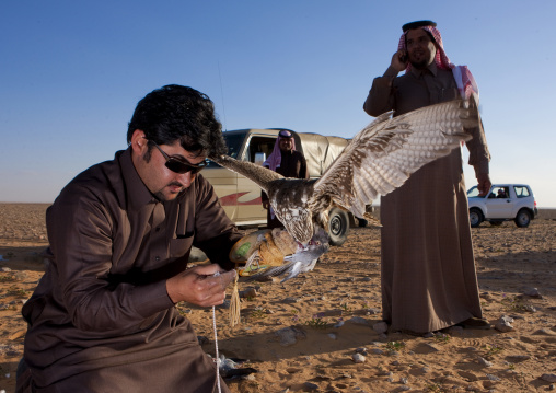 Falconry in the desert, Al-Jawf Province, Sakaka, Saudi Arabia