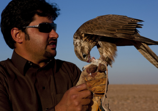 Falconry in the desert, Al-Jawf Province, Sakaka, Saudi Arabia