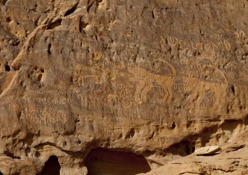 Petroglyphs rock art depicting lions, Al Madinah Province, Alula, Saudi Arabia