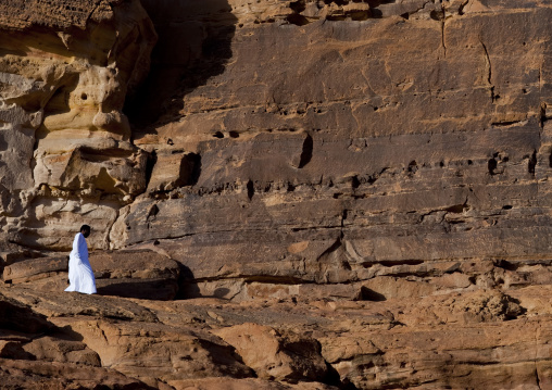 Petroglyphs on rocks, Al Madinah Province, Alula, Saudi Arabia
