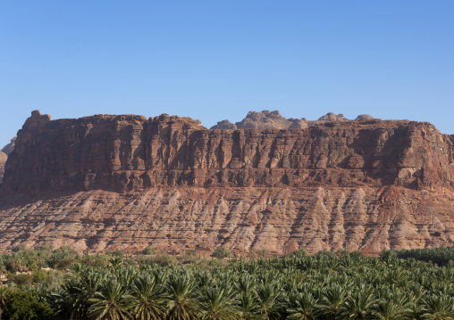 The old town in the middle of the wadi al-qura, Al Madinah Province, Alula, Saudi Arabia