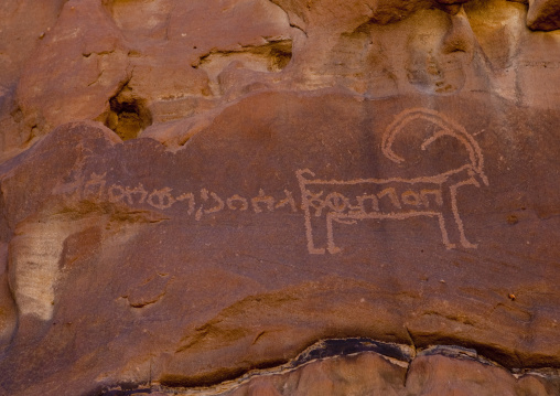Petroglyphs on a rock depicting an ibex, Al Madinah Province, Alula, Saudi Arabia