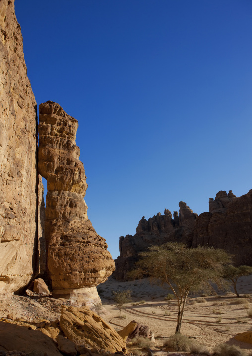 Rocky landscape of Madain Saleh, Al Madinah Province, Alula, Saudi Arabia