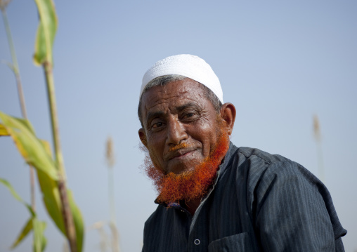 Saudi farmer with a red beard, Jizan Province, Jizan, Saudi Arabia