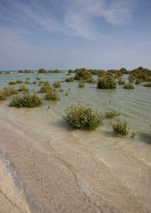 Beach on the red sea, Red Sea, Farasan, Saudi Arabia
