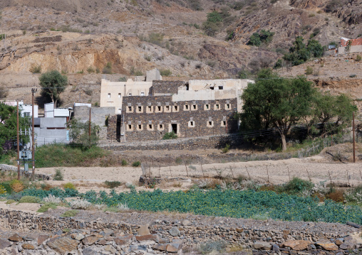 Traditional homes in a village, Asir Province, Al Osran, Saudi Arabia