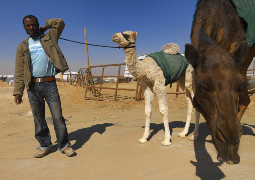 Man in the camel market, Riyadh Province, Riyadh, Saudi Arabia