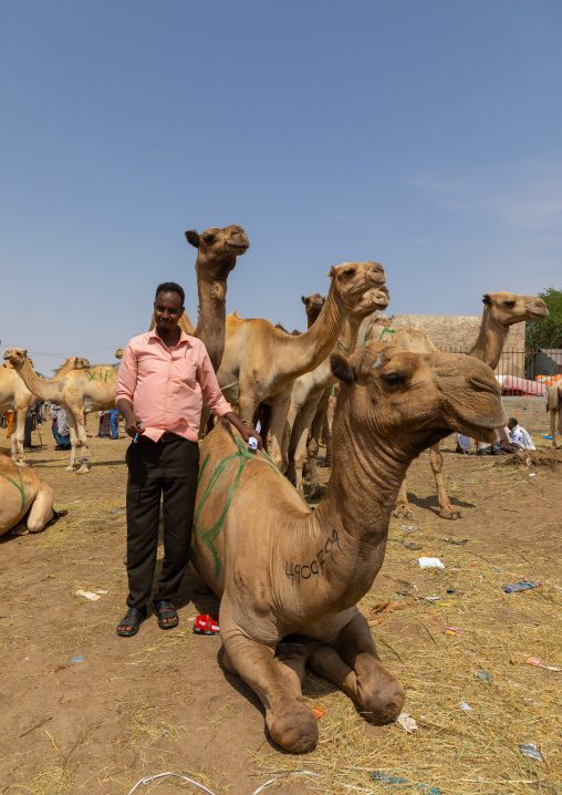 Somali man in the camel market, Woqooyi Galbeed region, Hargeisa, Somaliland