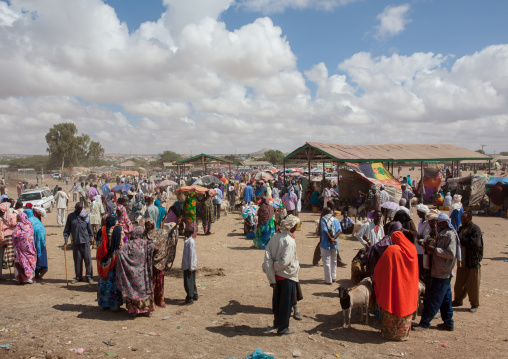 Somali people in the livestock market, Woqooyi Galbeed region, Hargeisa, Somaliland