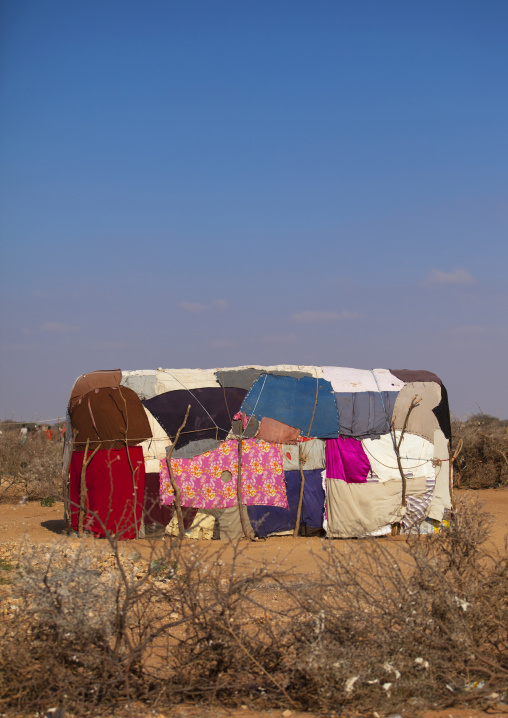 A Patchwork Hut Made Of Sticks And Fabric In A Dry Area, Baligubadle, Somaliland