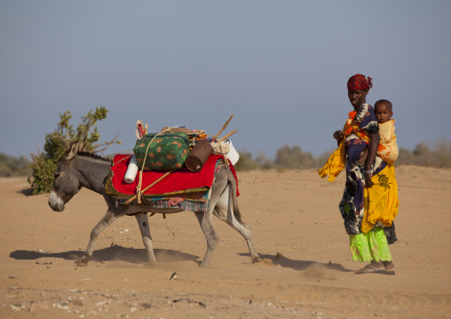 A Woman With Her Child On Her Back Carrying Luggage On A Mule, Zeila, Somaliland