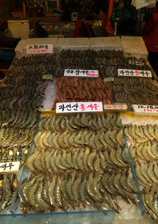 Shrimps for sale in noryangjin fisheries wholesale market, National capital area, Seoul, South korea