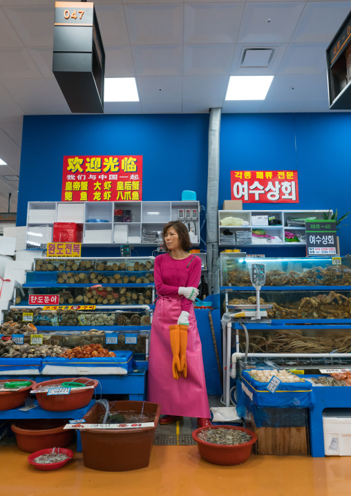 Noryangjin fisheries wholesale market, National capital area, Seoul, South korea