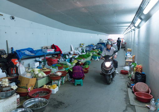 Vegetables market in a tunnel leading to the fish market, National capital area, Seoul, South korea