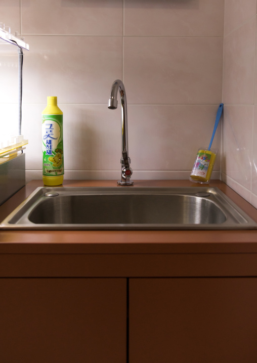 Kitchen in exhibition Pyongyang sallim at architecture biennale showing a north Korean apartment replica, National Capital Area, Seoul, South Korea