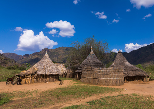 Houses in a Larim tribe traditional village, Boya Mountains, Imatong, South Sudan
