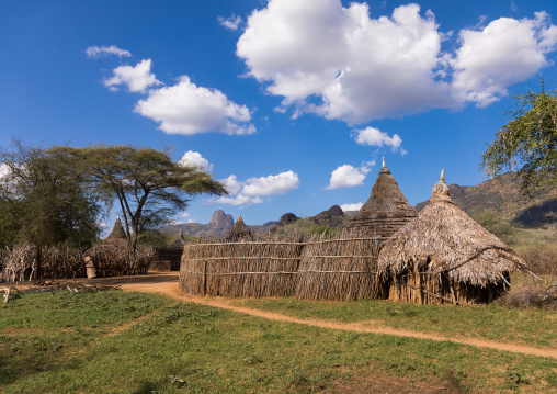 Houses in a Larim tribe traditional village, Boya Mountains, Imatong, South Sudan