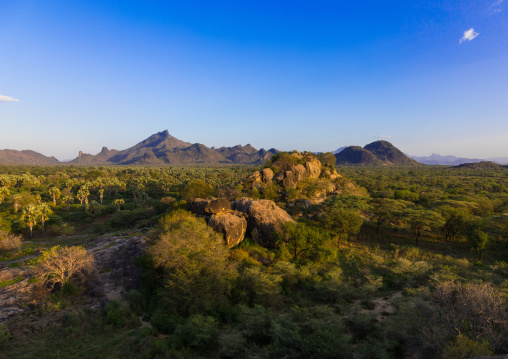 Oasis in front of the Boya mountains, Boya Mountains, Imatong, South Sudan