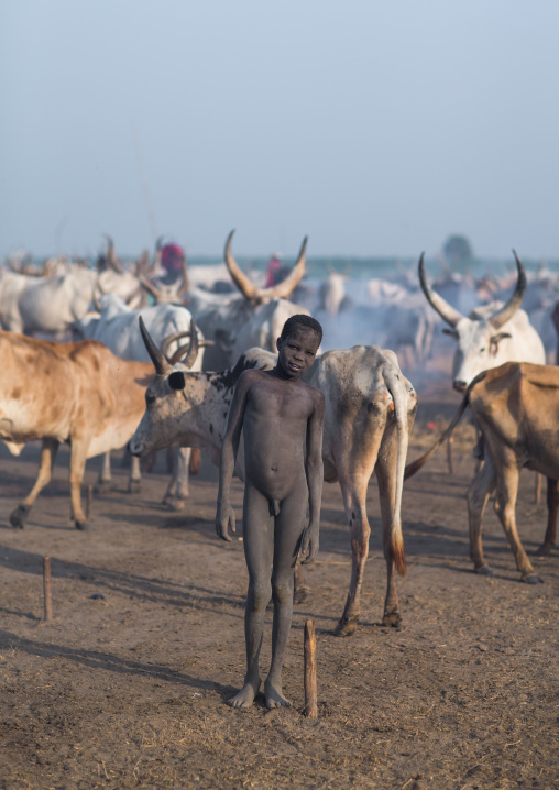 Mundari tribe boy in the middle of long horns cows in a cattle camp, Central Equatoria, Terekeka, South Sudan
