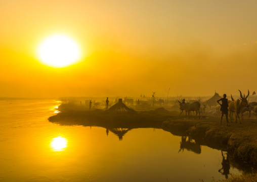 Mundari tribe people and cows on the bank of river Nile at sunset, Central Equatoria, Terekeka, South Sudan