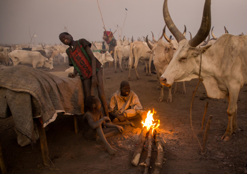 Mundari tribe boys making a campfire with dried cow dungs to repel flies and mosquitoes, Central Equatoria, Terekeka, South Sudan