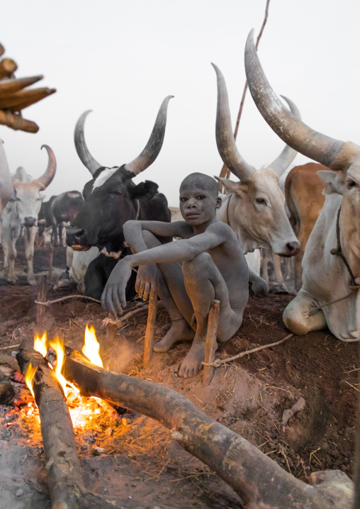 Mundari tribe boy making a campfire with dried cow dungs to repel flies and mosquitoes, Central Equatoria, Terekeka, South Sudan