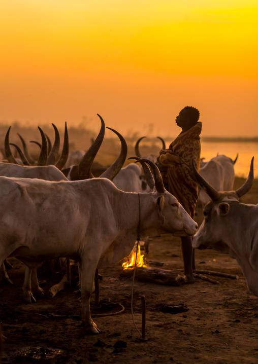 Mundari tribe man making a campfire with dried cow dungs to repel flies and mosquitoes, Central Equatoria, Terekeka, South Sudan