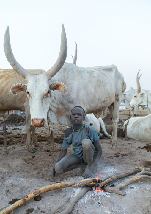 Mundari tribe boy making a campfire made with dried cow dungs to repel flies and mosquitoes, Central Equatoria, Terekeka, South Sudan