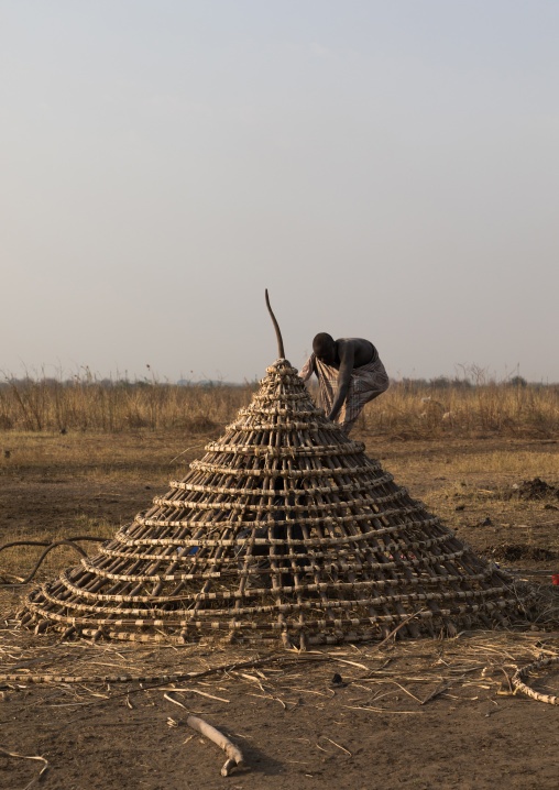 Mundari tribe men building a house roof in a cattle camp, Central Equatoria, Terekeka, South Sudan
