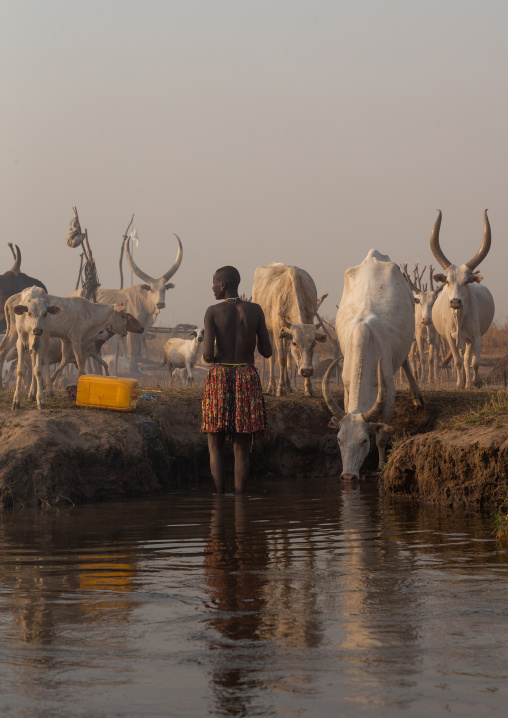 Mundari tribe woman collecting water in the river Nile, Central Equatoria, Terekeka, South Sudan