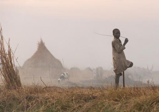 Mundari tribe boy in the middle of long horns cows in a cattle camp, Central Equatoria, Terekeka, South Sudan