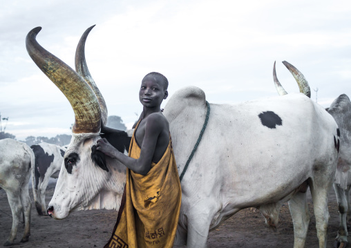 Mundari tribe boy covered in ash taking care of long horns cows in a camp, Central Equatoria, Terekeka, South Sudan