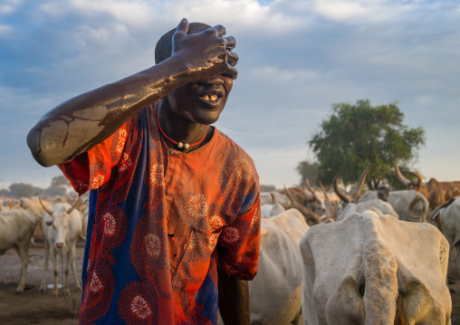 Mundari tribe man showering with cow urine to take advantage of the antibacterial properties, Central Equatoria, Terekeka, South Sudan