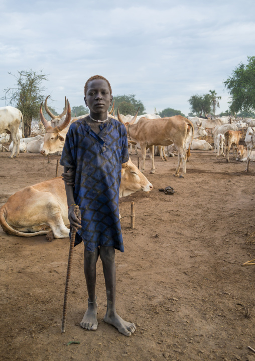 Portrait of a Mundari tribe boy with long horns cows, Central Equatoria, Terekeka, South Sudan