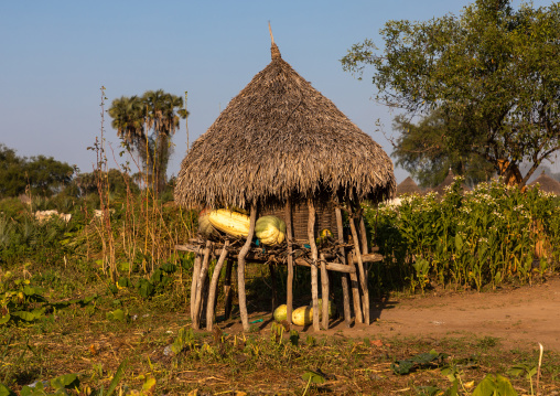 Traditional granary in a Mundari tribe village, Central Equatoria, Terekeka, South Sudan