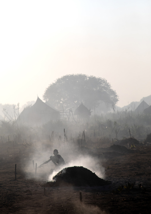 Mundari tribe boy collecting dried cow dungs to make bonfires to repel mosquitoes and flies, Central Equatoria, Terekeka, South Sudan